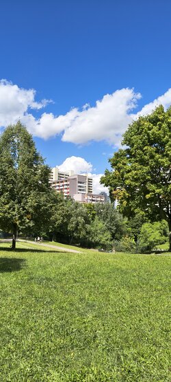 IMG_20250829_130239669_HDR.jpg