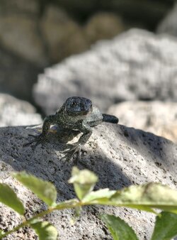 IMG_20250831_110251.jpg