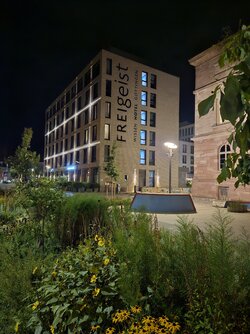 20250831_222137.jpg