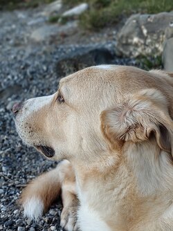 IMG_20250831_194851797~2.jpg