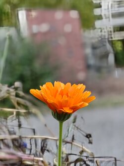 IMG_20250831_195719390~2.jpg