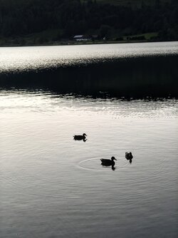 IMG_20250831_200751308~2.jpg