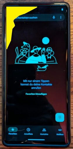 PIXEL 6 Beschädigung Negativ ultimativ.jpg