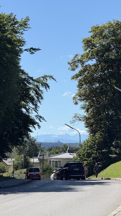 IMG_7766.JPEG