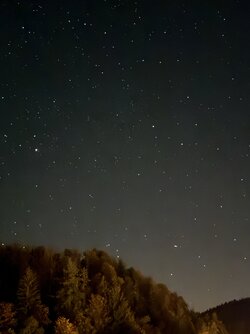 IMG_7194 2.jpeg