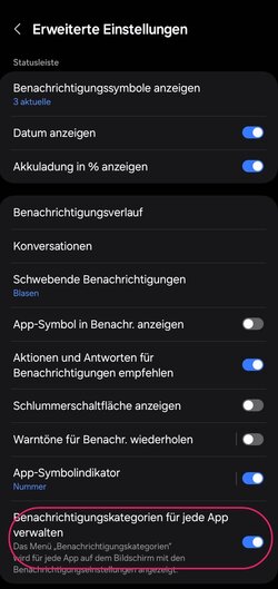 Screenshot_20250901_122242_Settings.jpg