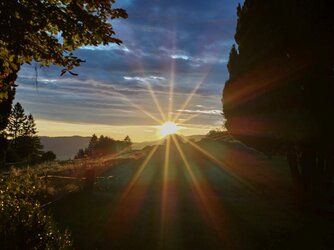 20250901-065523-026HX4a.jpg