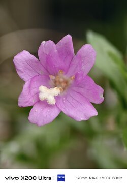 IMG_20250901_165342.jpg