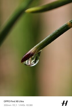 IMG_20250901_181459.jpg