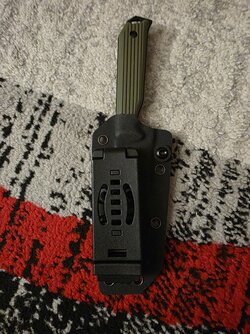 20250901_191508.jpg