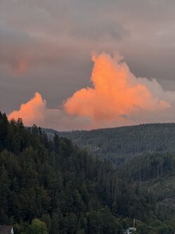 IMG_6448 2 2.jpeg