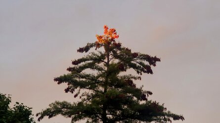 20250901_194812.jpg
