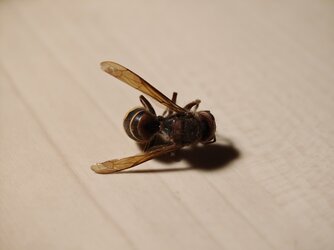IMG_20250901_231944.jpg