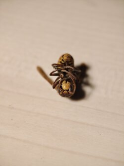 IMG_20250901_231233.jpg