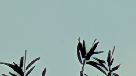 PXL_20250902_053638155.BURST-02.original.jpg