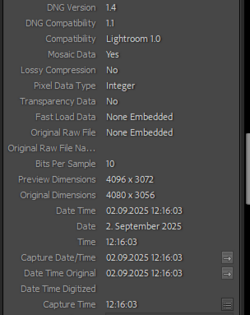 DNGRAW.png