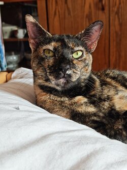 IMG_20250804_170527.jpg