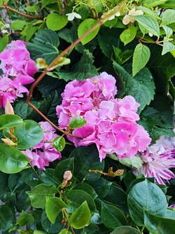 IMG_20250812_111915.jpg