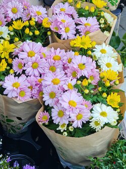 IMG_20250812_111944.jpg