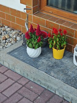 IMG_20250818_150939.jpg