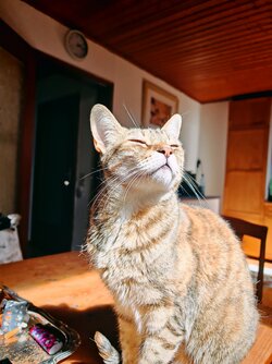 IMG_20250824_141733.jpg