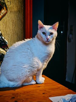 IMG_20250826_193028.jpg