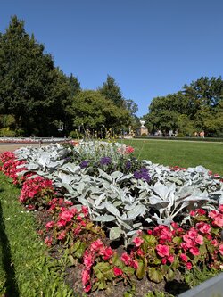 PXL_20250831_094753179.jpg