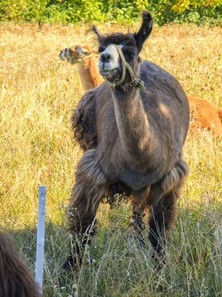 IMG_20250901_100522_HDR_P3.jpg