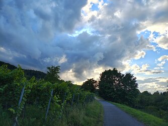 IMG_20250902_184534407_HDR.jpg