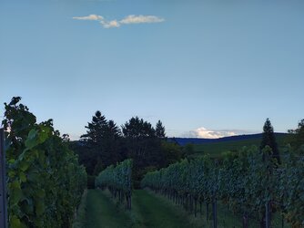 IMG_20250902_185212370_HDR.jpg