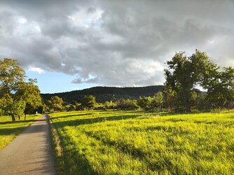 IMG_20250902_185735883_HDR.jpg