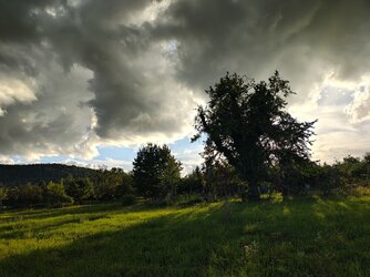 IMG_20250902_190206186_HDR.jpg