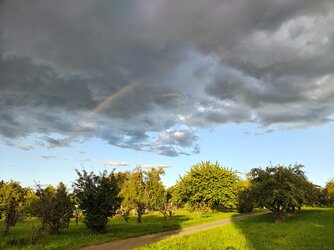 IMG_20250902_190655904_HDR.jpg