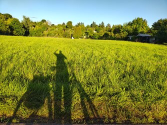 IMG_20250902_185816316_HDR.jpg