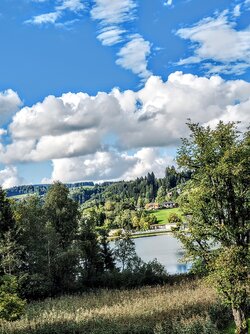 IMG_20250902_172223257~2.jpg