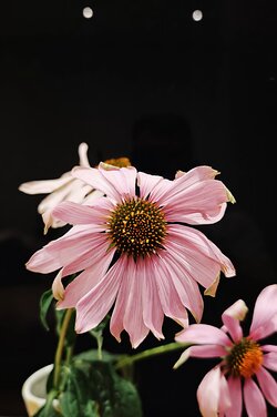 IMG_20250902_120940.jpg