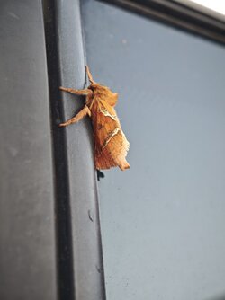 IMG_20250902_074413.jpg