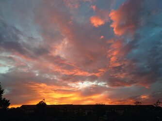 20250902_195049.jpg