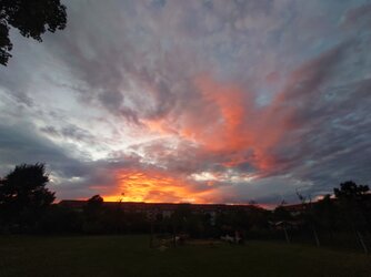 20250902_195547.jpg