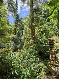 IMG_20250902_150039 (1).jpg