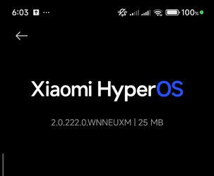 Screenshot_2025-09-03-06-03-33-299_com.android.updater-edit.jpg