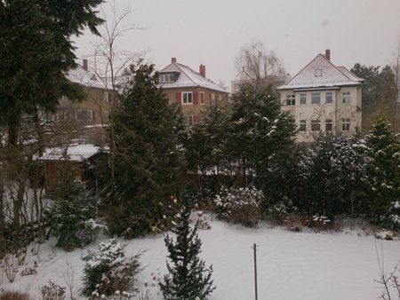 2013-02-22 16.58.38.jpg