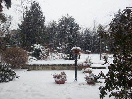 2013-02-23 12.28.54.jpg