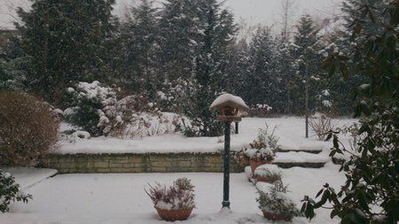 2013-02-23 12.29.17.jpg