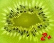 kiwi2+.jpg