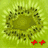 kiwi_48.png