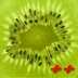 kiwi_72.png