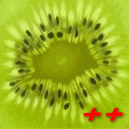 kiwi_144.png