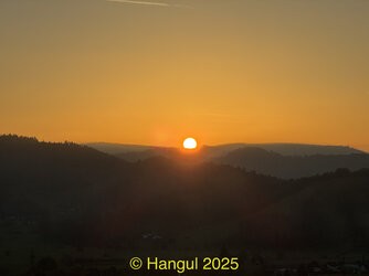 IMG_2522.jpeg