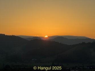 IMG_2526.jpeg